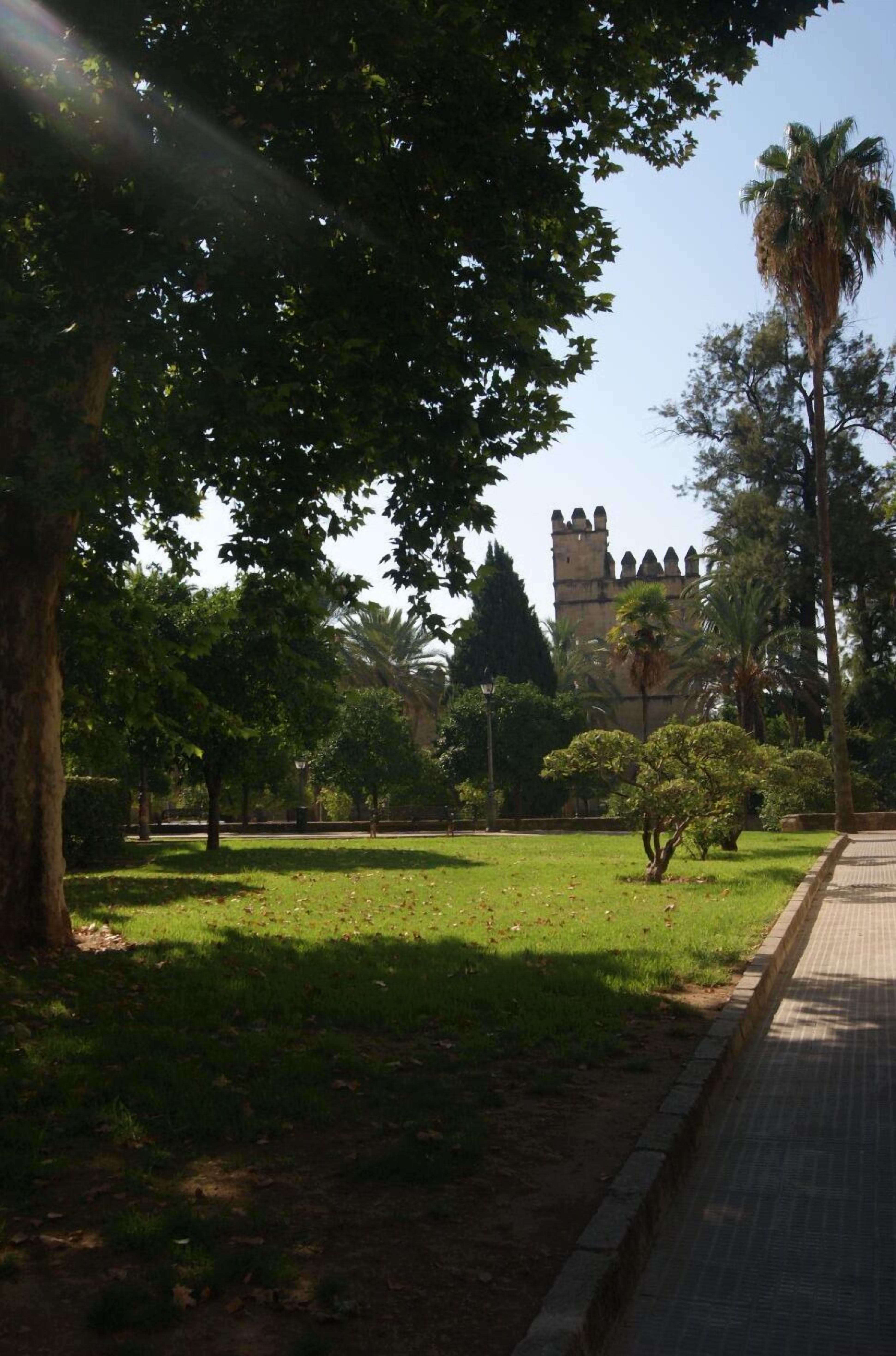 Hostal Alcazar I — Photos 2